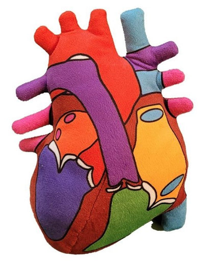 Heart Model