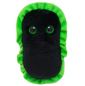 Gangrene (Clostridium Perfringens)