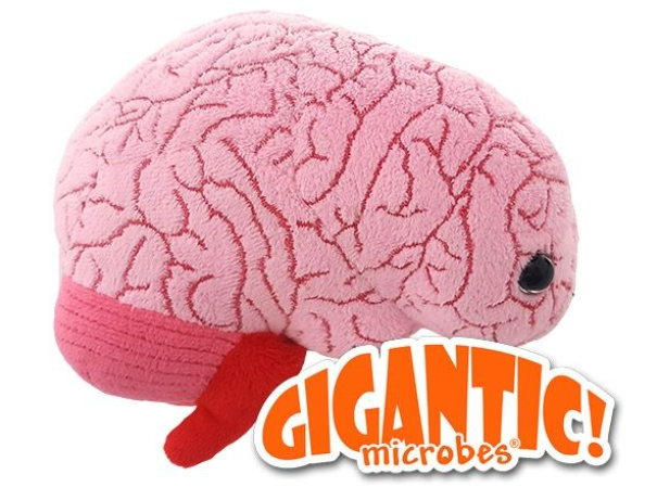 Gigantic Brain