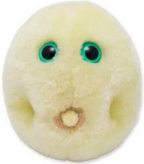 Pollen (Hay Fever)