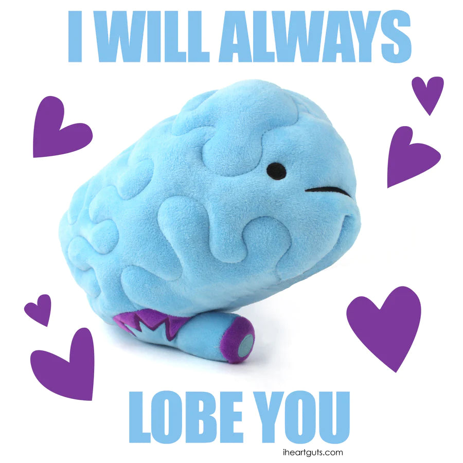 Brain Plush - All You Need Is Lobe - Plush Organ Stuffed Toy Pillow