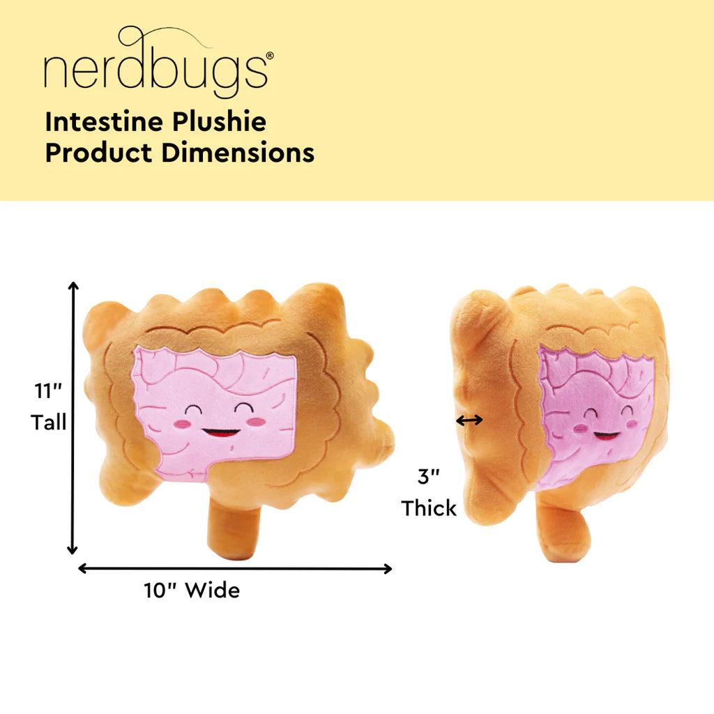 Intestines Plushie
