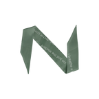 Recounts of Patient Encounters Scarf