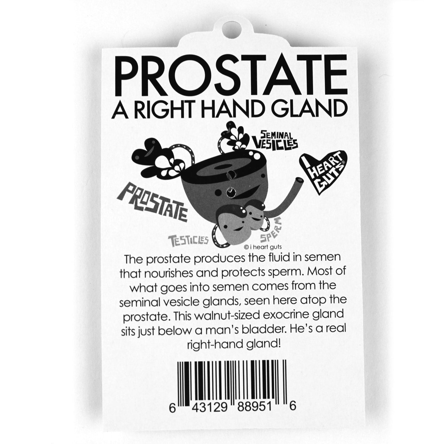 Prostate Keychain - A Seminal Work