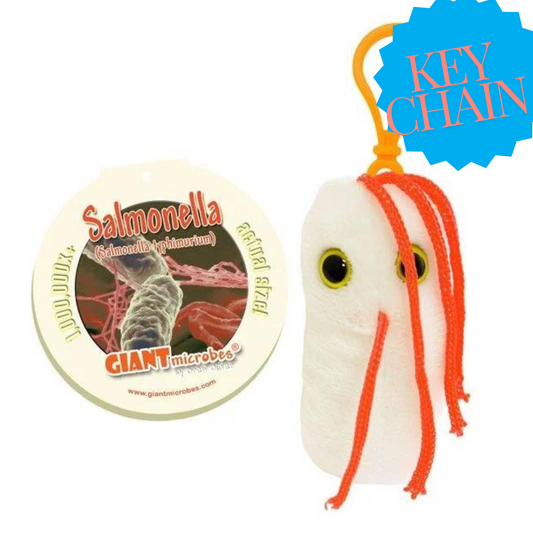Salmonella Key Chain
