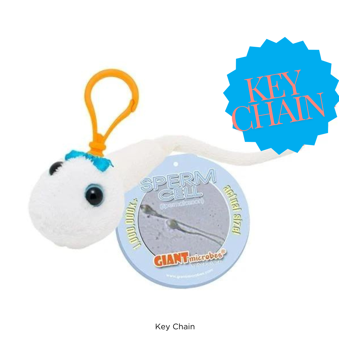 Sperm Cell Key Chain