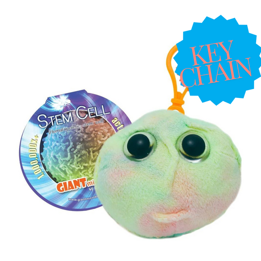 Stem Cell Keychain