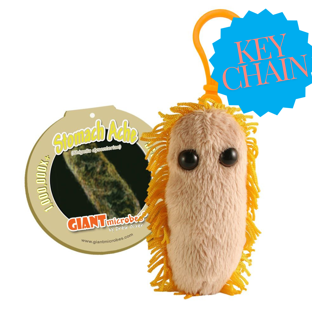 Stomach Ache Key chain
