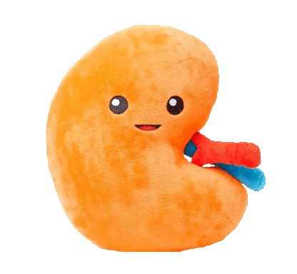 Kidney Plushie