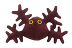 Kidney Cell (Podocyte)