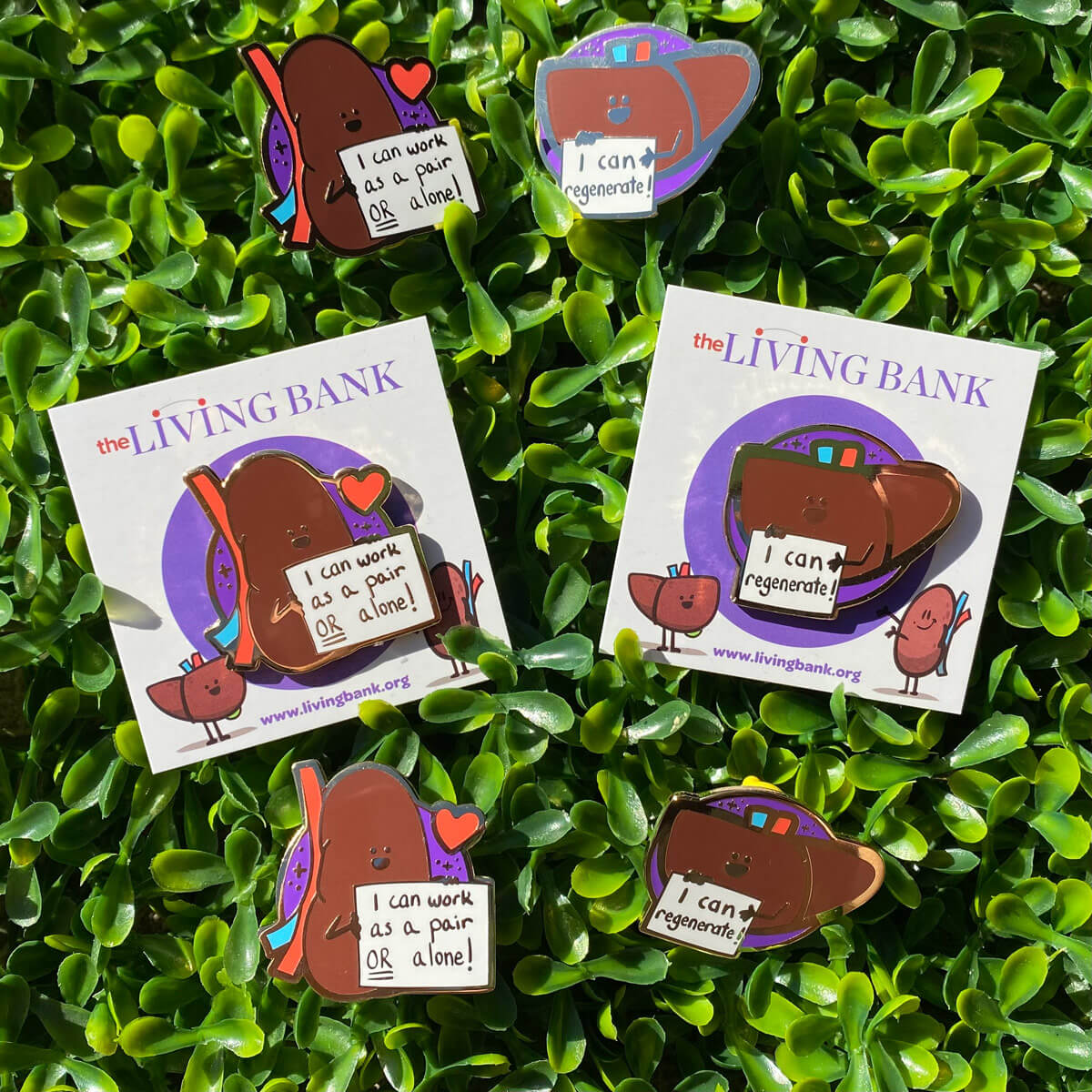 Lil' Kidney Hard Enamel Pin