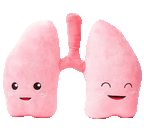 Lungs Plushie