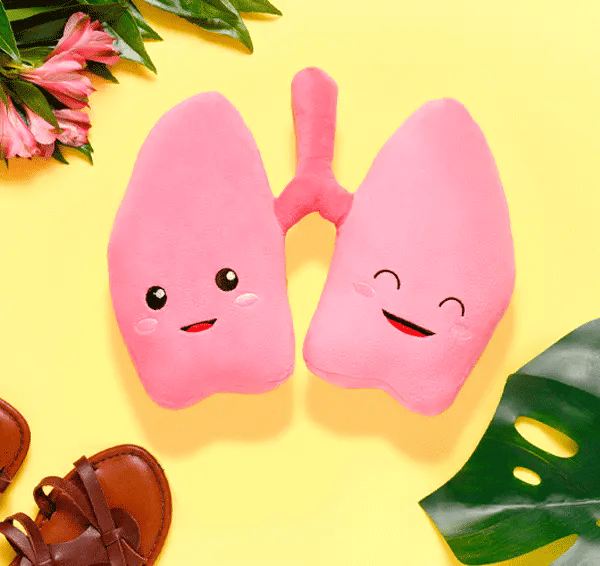 Lungs Plushie