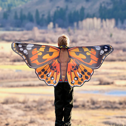 Painted Lady Butterfly Wings