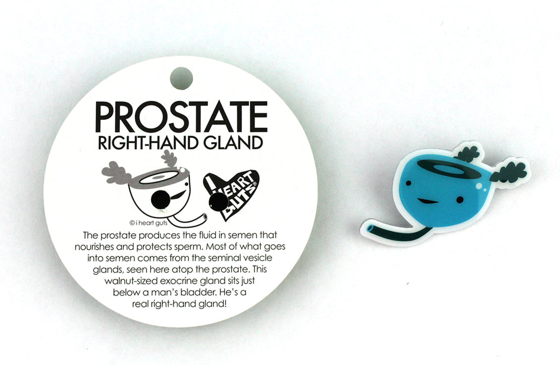 Prostate Lapel Pin - A Seminal Work!