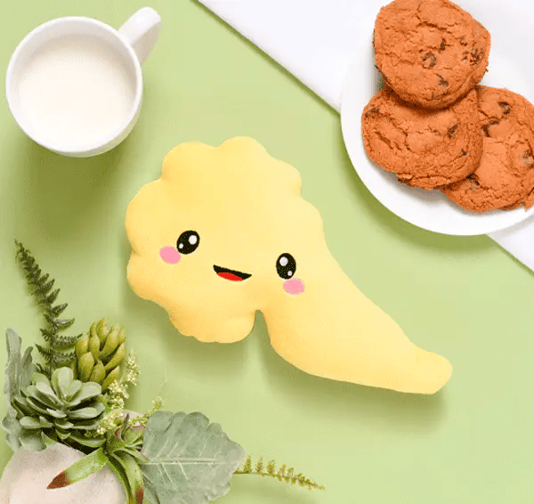 Pancreas Plushie
