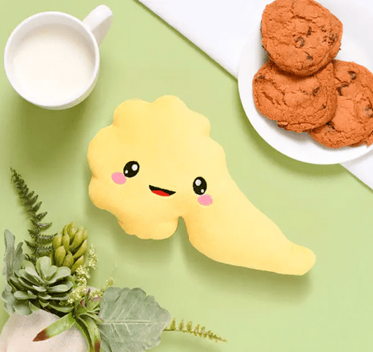 Pancreas Plushie