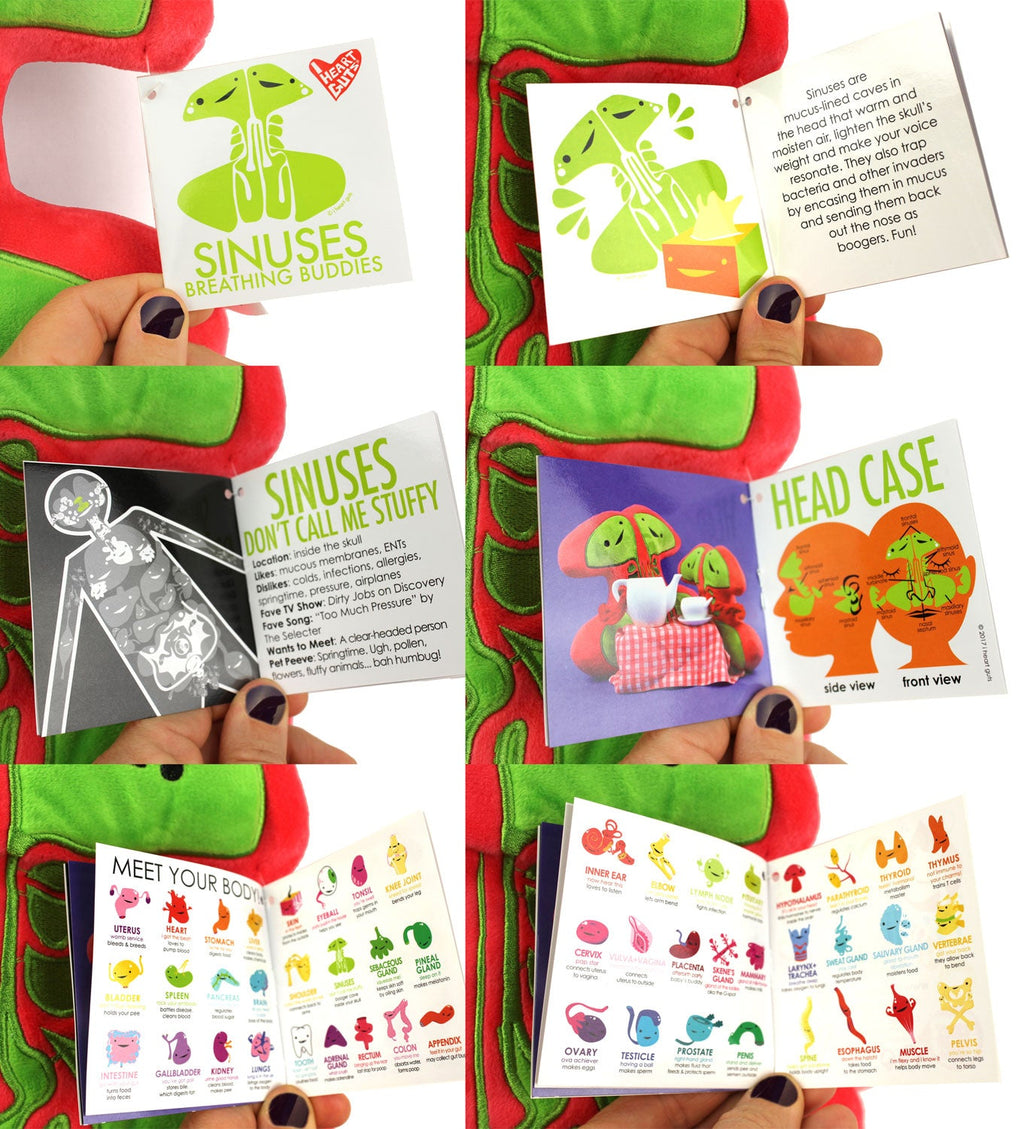 Sinus Plush - Breathing Buddies - Plush Organ Stuffed Toy Pillow