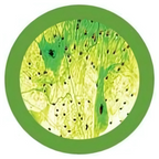 Nerve cell Keychain