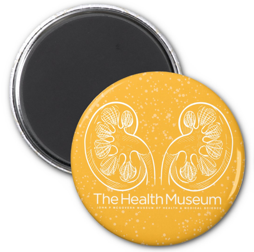 The Health Museum Dissections Magnet