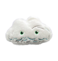 Cumulus Cloud
