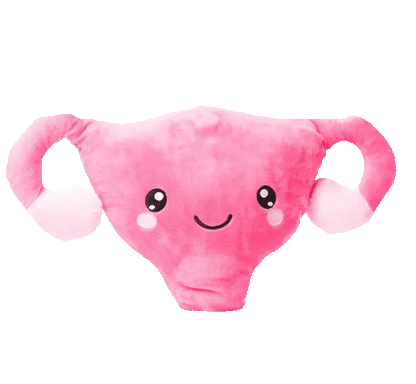 Uterus Plushie