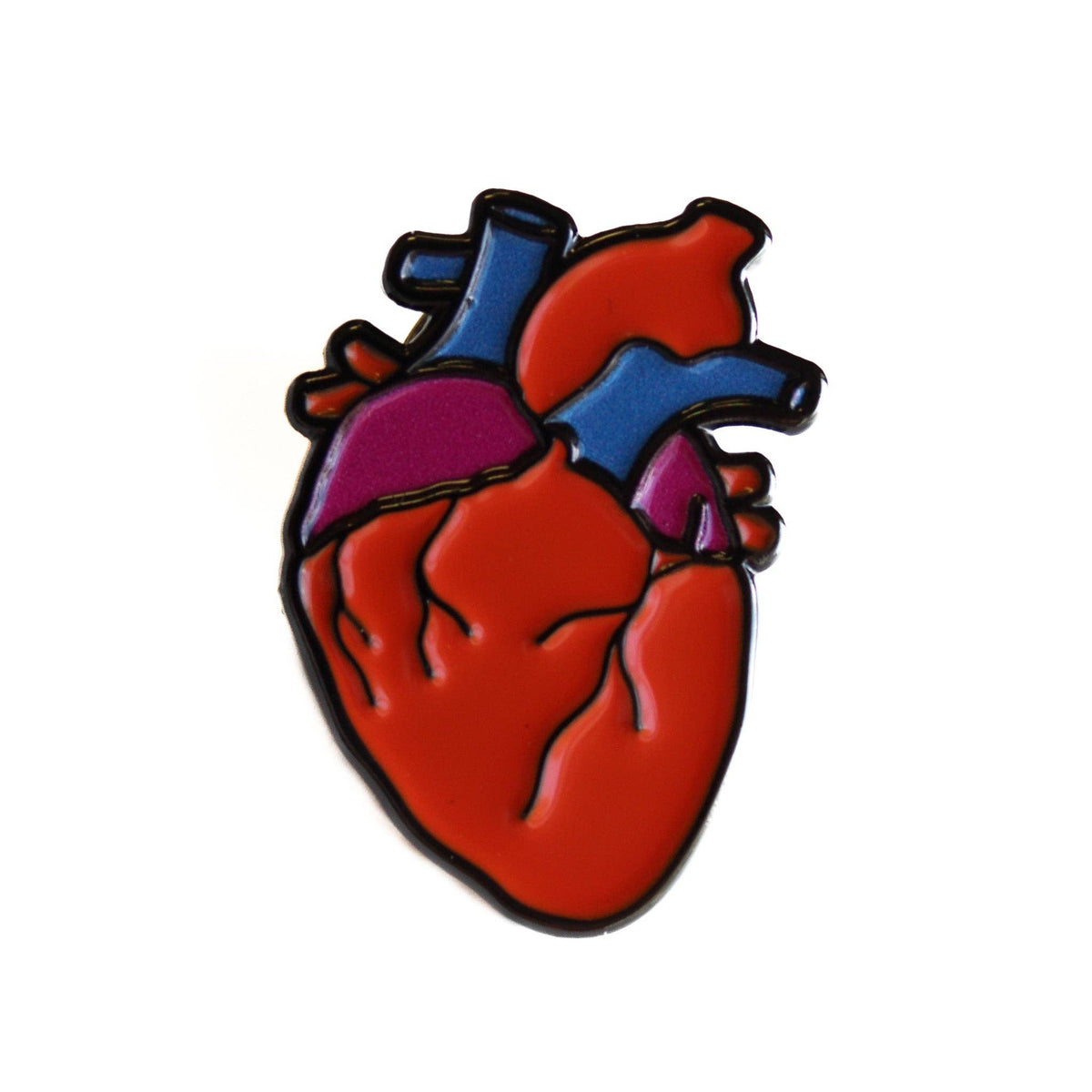 Anatomical Heart Enamel Pin – The Amazing Body Store