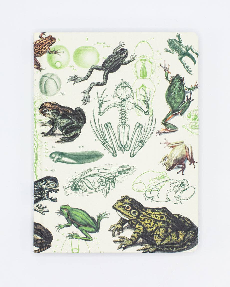 Frogs & Toads Hardcover - Dot Grid Page Notebook