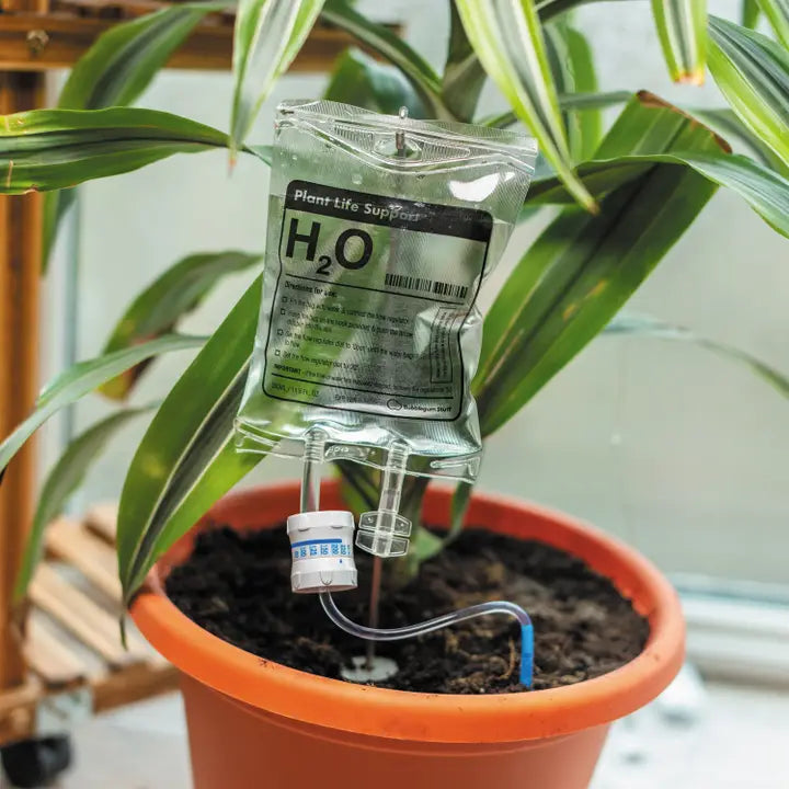 Plant life Support Houseplant Watering Device