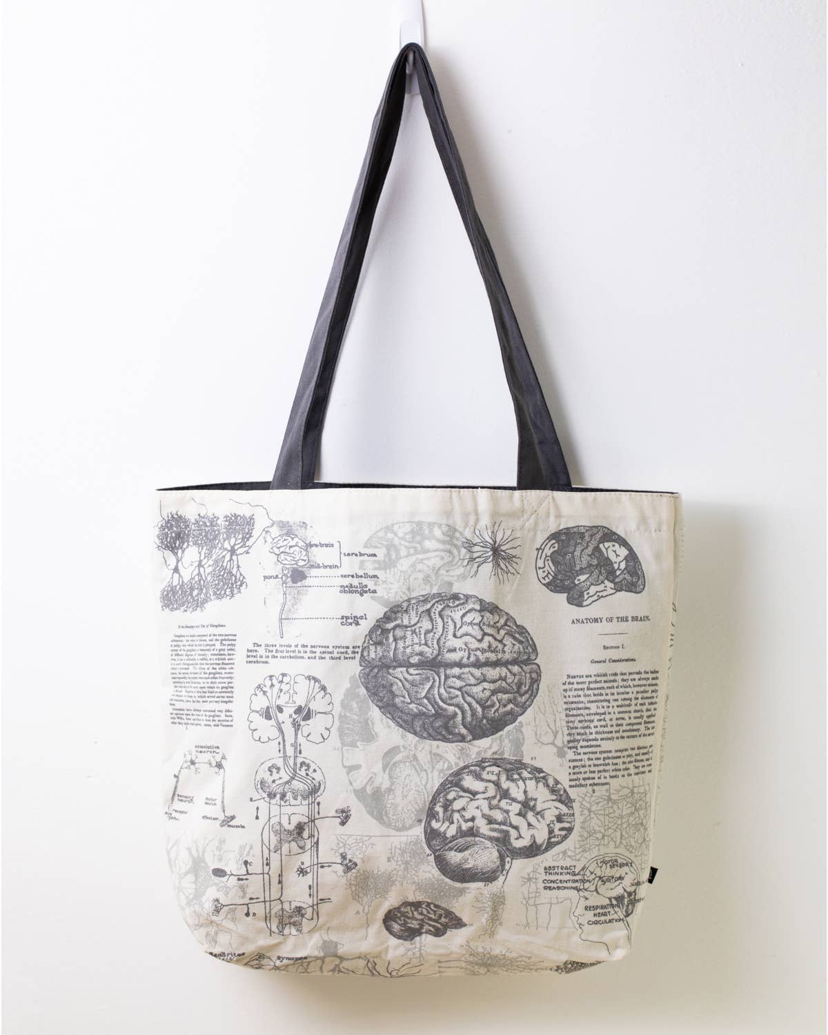 Brain Anatomy Canvas Shoulder Tote Bag