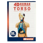 4D Torso