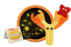 Antibody (Immunoglobulin)