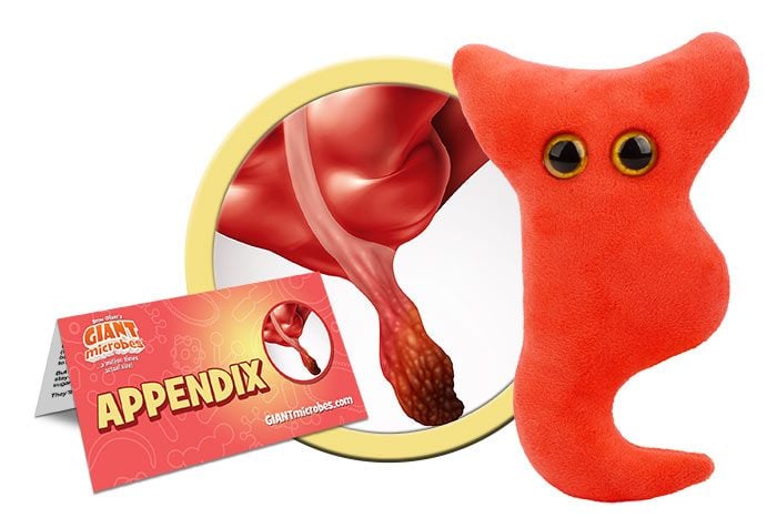 Appendix