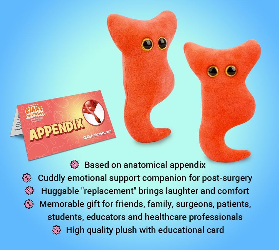 Appendix