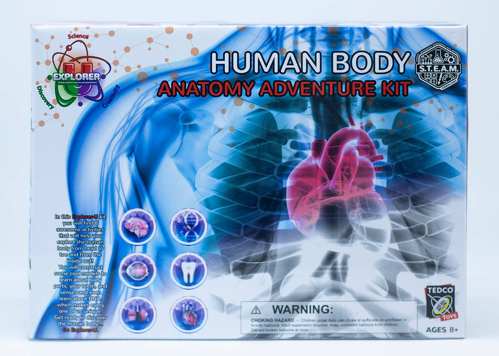 Human Body Adventure Kit