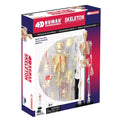 4D Skeleton