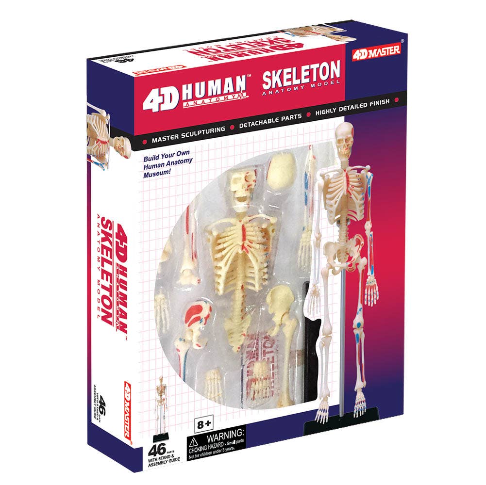 4D Skeleton