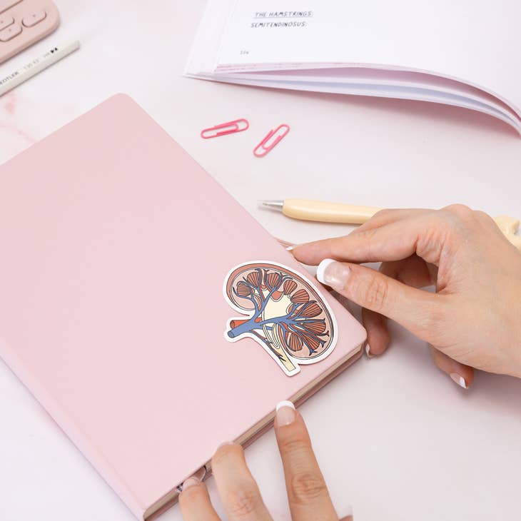 Anatomical Kidney sticker