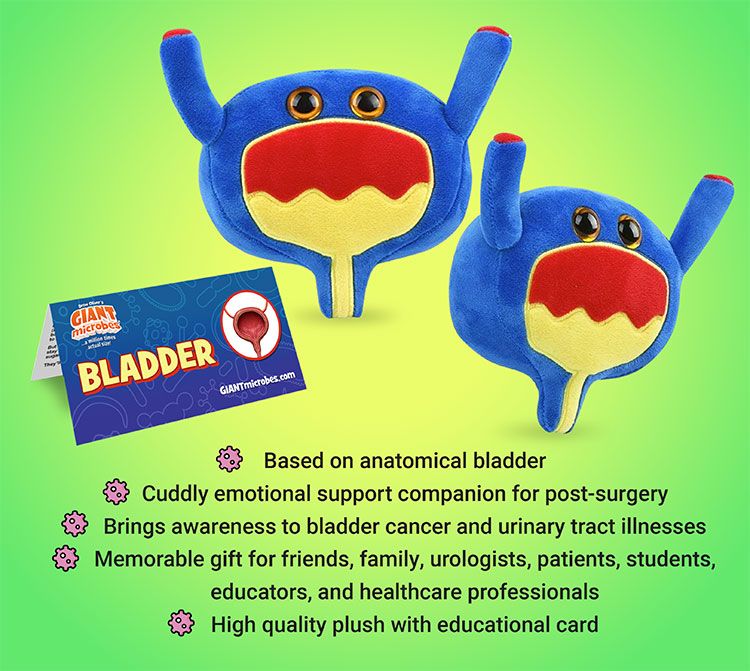 Bladder