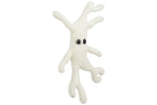 Bone Cell (Osteocyte)