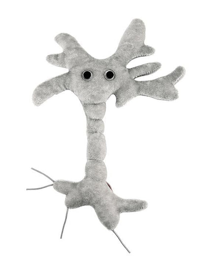 Brain Cell