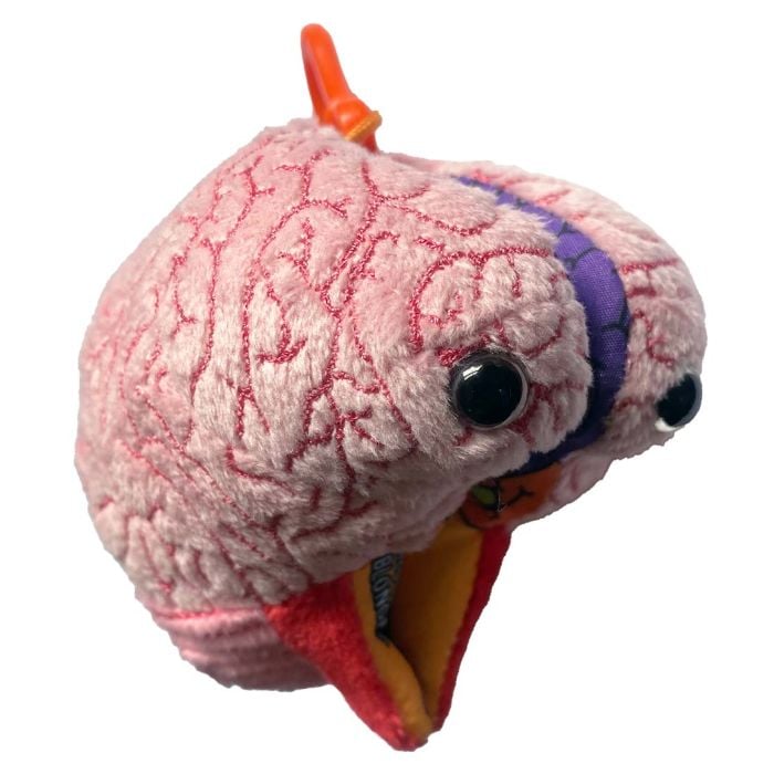 Brain Model Keychain