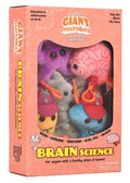 Brain Science