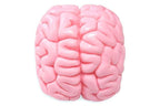 Brainwashed Soap