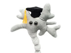 Graduation Brain Cell (Neuron)