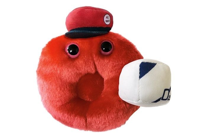 Cells at Work Red Blood Cell