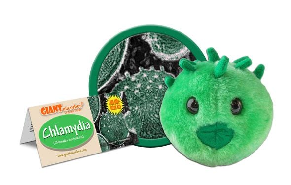 Chlamydia