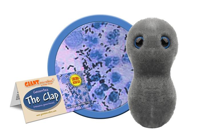 Clap- Gonorrhea (Neisseria Gonorrhoeae)