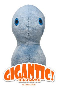 Clap Gigantic 17"