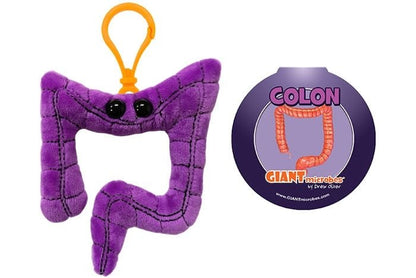 Colon Key Chain